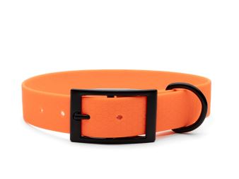 Hexa_collar_black_deluxe_neon orange_small_web (21)