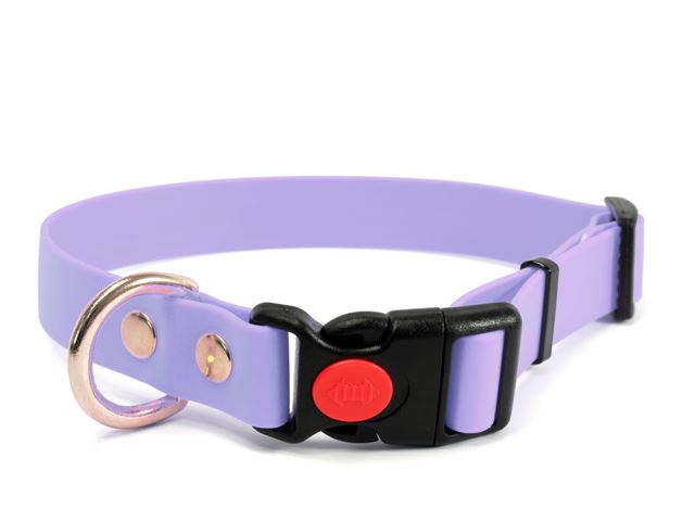 Biothane_collar_safety_click_solid_brass_pastel_purple_small_web