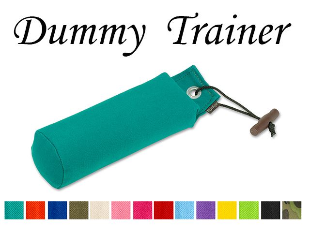 Nové barvy Dummy Trainer