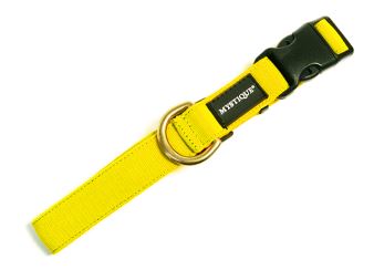 Nylon_collar_profi_25mm_solid_brass_yellow_detail_small_web (1)