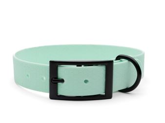 Hexa_collar_black_deluxe_baby blue_small_web (24)