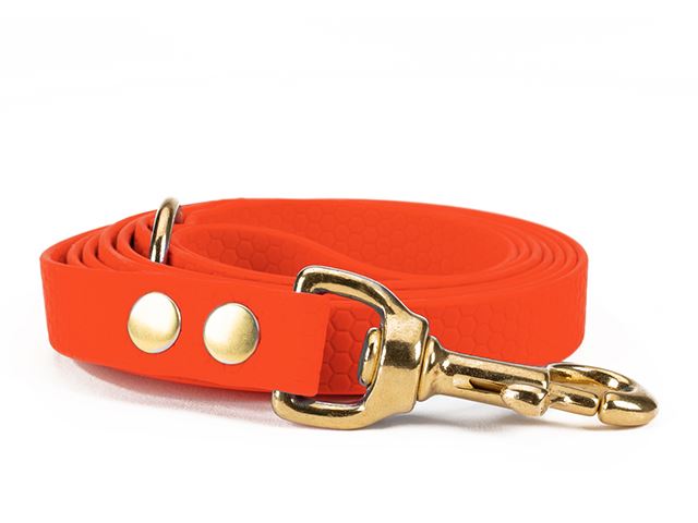 Hexa_leash_16_19mm_brass_riveted_neon_orange_small_web