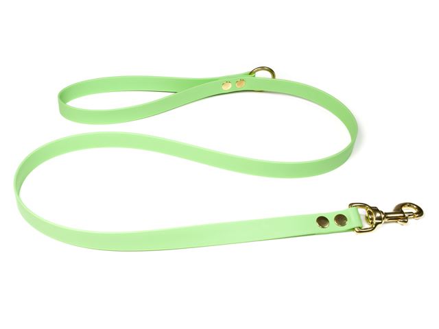 Biothane_leash_with_HG_19mm_solid_brass_pastell_green_small_web