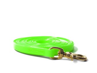 Biothane_tracking_leash_13mm_brass_trigger_hook_light_green_small_web (2)