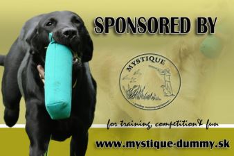 WT- Mestaruus 2011 Finsko