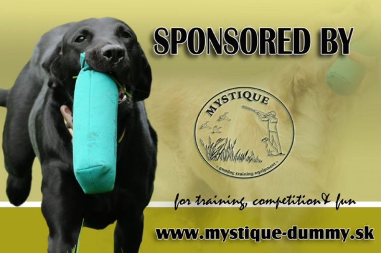 WT- Mestaruus 2011 Finsko