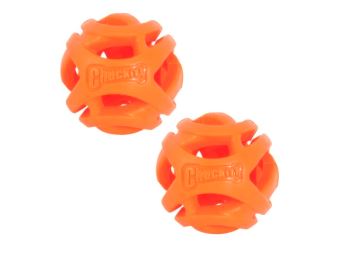 Chuckit! Breathe Right Ball (1)