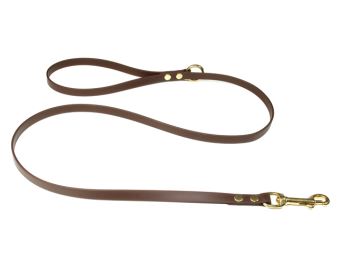 Biothane_leash_with_HG_13mm_solid_brass_brown_small_web