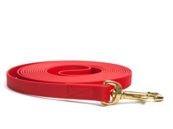 Biothane_tracking_leash_sewn_red_brass_snap_hook_small_web (21)