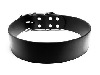 Biothane_collar_classic_50mm_black_backside_small_web (1)
