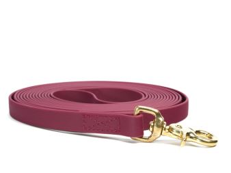 Biothane_tracking_leash_sewn_winered_brass_trigger_small_web (15)